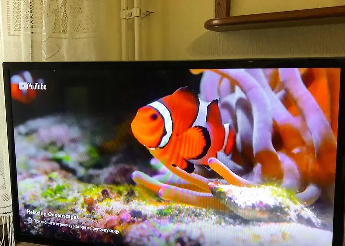 Maki Nbg Apartament *